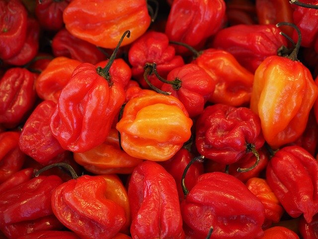 Salsa Fresa Habanera